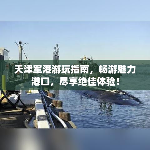 懷真抱素 第2頁(yè)