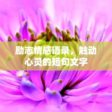 勵(lì)志情感語錄，觸動(dòng)心靈的短句文字