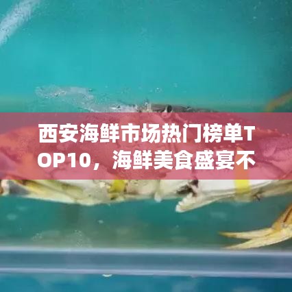 西安海鮮市場熱門榜單TOP10，海鮮美食盛宴不容錯過！