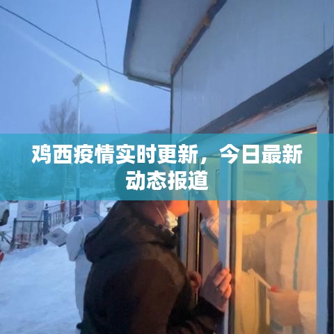 雞西疫情實(shí)時(shí)更新，今日最新動態(tài)報(bào)道