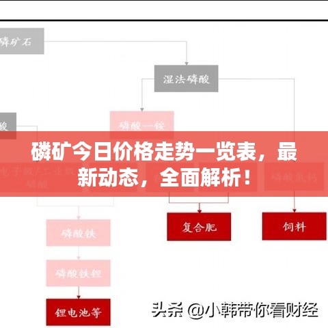 磷礦今日價格走勢一覽表，最新動態(tài)，全面解析！