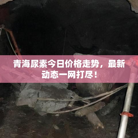 青海尿素今日價(jià)格走勢(shì)，最新動(dòng)態(tài)一網(wǎng)打盡！