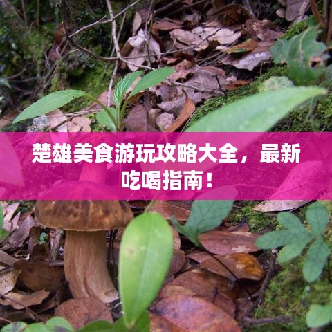 鳥(niǎo)聲獸心 第2頁(yè)