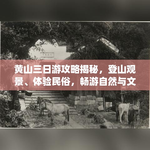 黃山三日游攻略揭秘，登山觀景、體驗民俗，暢游自然與文化的盛宴！