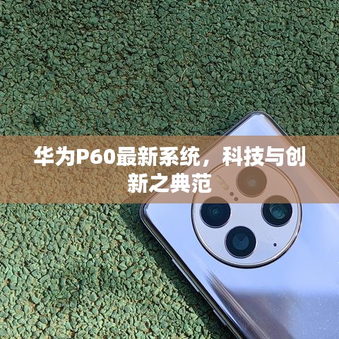 華為P60最新系統(tǒng)，科技與創(chuàng)新之典范