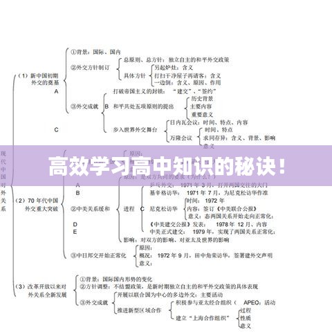 高效學(xué)習(xí)高中知識(shí)的秘訣！
