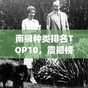 南獅種類排名TOP10，震撼榜單，不容錯(cuò)過！