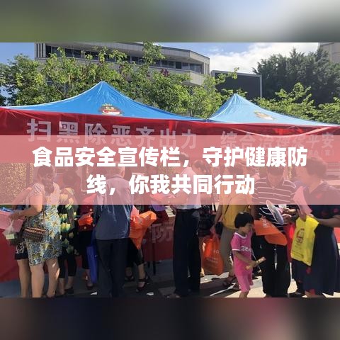 食品安全宣傳欄，守護(hù)健康防線，你我共同行動(dòng)
