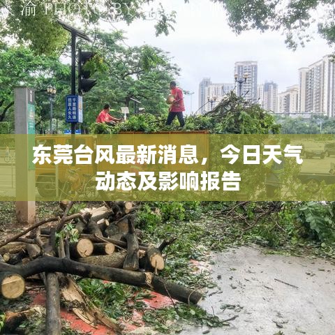 東莞臺風最新消息，今日天氣動態(tài)及影響報告