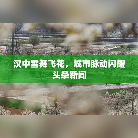 漢中雪舞飛花，城市脈動(dòng)閃耀頭條新聞