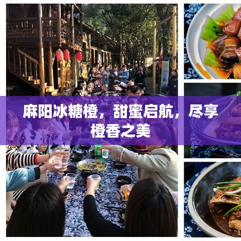 麻陽冰糖橙，甜蜜啟航，盡享橙香之美