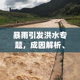 暴雨引發(fā)洪水專題，成因解析、影響評(píng)估與應(yīng)對(duì)策略