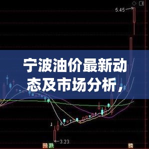寧波油價最新動態(tài)及市場分析，今日關(guān)注焦點