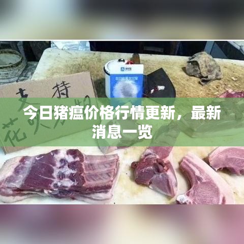 今日豬瘟價格行情更新，最新消息一覽