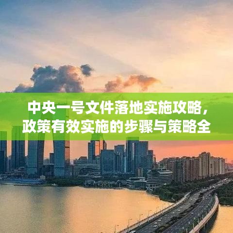 中央一號文件落地實施攻略，政策有效實施的步驟與策略全解析