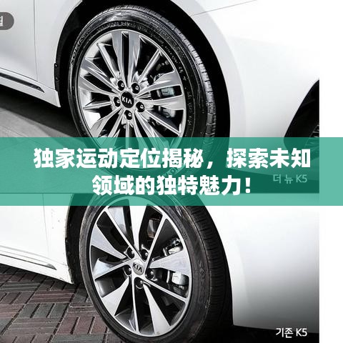 獨家運動定位揭秘，探索未知領(lǐng)域的獨特魅力！