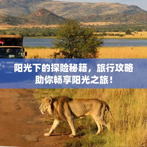 陽光下的探險秘籍，旅行攻略助你暢享陽光之旅！