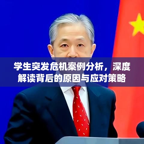 學(xué)生突發(fā)危機(jī)案例分析，深度解讀背后的原因與應(yīng)對(duì)策略