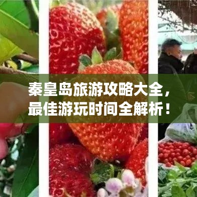 秦皇島旅游攻略大全，最佳游玩時間全解析！