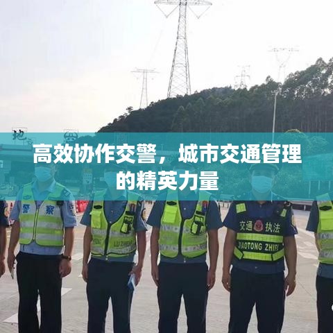 高效協(xié)作交警，城市交通管理的精英力量