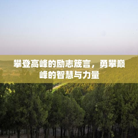 攀登高峰的勵志箴言，勇攀巔峰的智慧與力量