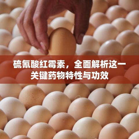 革新變舊 第2頁