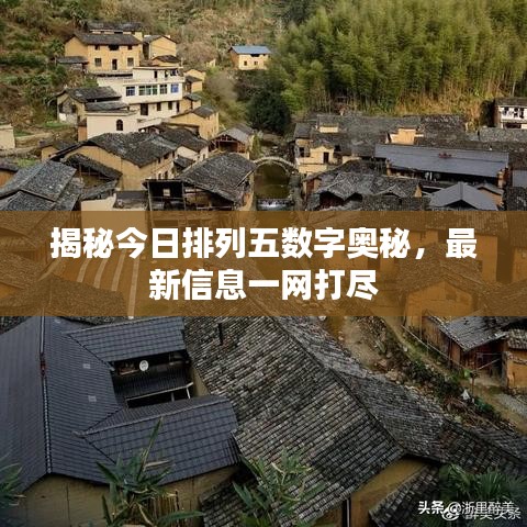 揭秘今日排列五數(shù)字奧秘，最新信息一網(wǎng)打盡