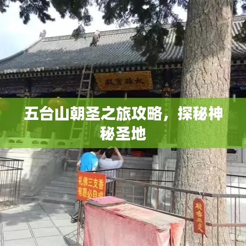 五臺山朝圣之旅攻略，探秘神秘圣地