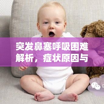 突發(fā)鼻塞呼吸困難解析，癥狀原因與應(yīng)對方法