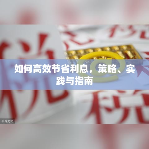 如何高效節(jié)省利息，策略、實踐與指南
