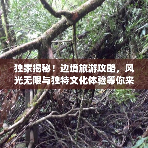 獨(dú)家揭秘！邊境旅游攻略，風(fēng)光無(wú)限與獨(dú)特文化體驗(yàn)等你來(lái)探秘！