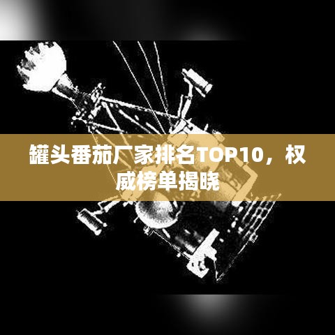 罐頭番茄廠家排名TOP10，權(quán)威榜單揭曉
