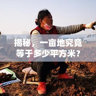 揭秘，一畝地究竟等于多少平方米？土地面積轉(zhuǎn)換全解析！