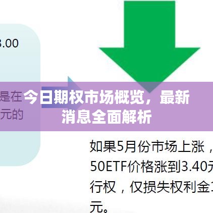今日期權(quán)市場(chǎng)概覽，最新消息全面解析