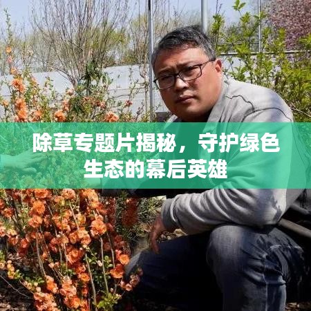 除草專題片揭秘，守護綠色生態(tài)的幕后英雄