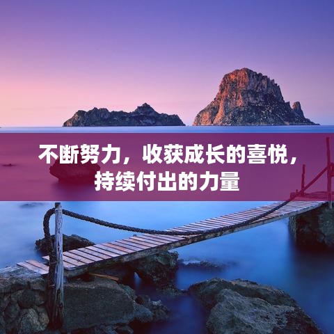 不斷努力，收獲成長的喜悅，持續(xù)付出的力量