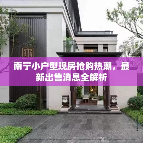 南寧小戶型現(xiàn)房搶購熱潮，最新出售消息全解析
