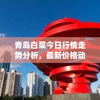 青島白菜今日行情走勢(shì)分析，最新價(jià)格動(dòng)態(tài)解讀