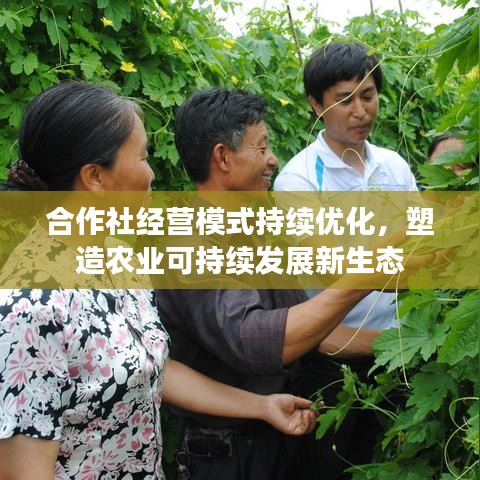 合作社經(jīng)營模式持續(xù)優(yōu)化，塑造農業(yè)可持續(xù)發(fā)展新生態(tài)