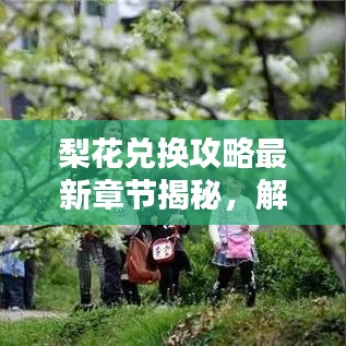 梨花兌換攻略最新章節(jié)揭秘，解鎖虛擬世界財富之門