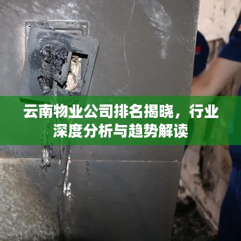 云南物業(yè)公司排名揭曉，行業(yè)深度分析與趨勢(shì)解讀