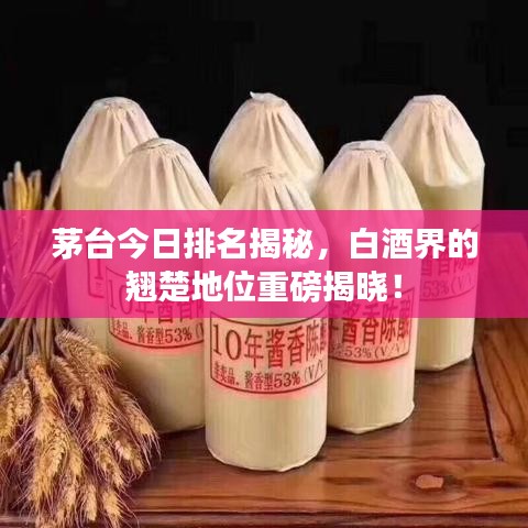 茅臺今日排名揭秘，白酒界的翹楚地位重磅揭曉！