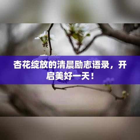 杏花綻放的清晨勵志語錄，開啟美好一天！