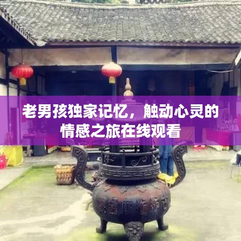 老男孩獨(dú)家記憶，觸動(dòng)心靈的情感之旅在線觀看