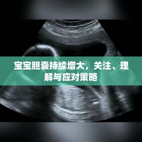 寶寶膽囊持續(xù)增大，關(guān)注、理解與應對策略