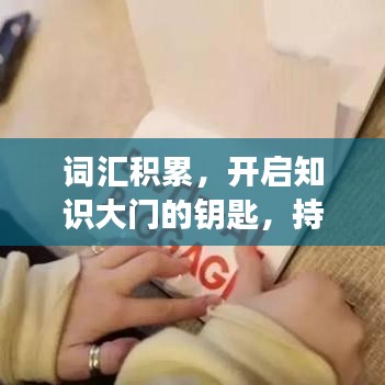 詞匯積累，開啟知識(shí)大門的鑰匙，持續(xù)學(xué)習(xí)成就未來之路