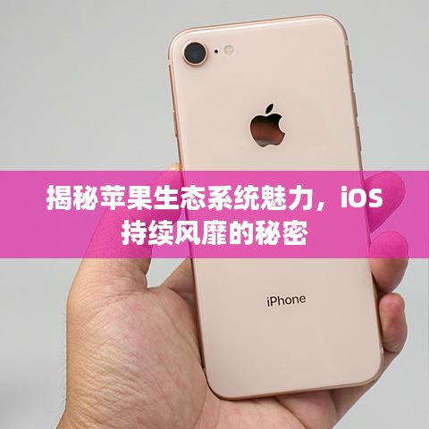 揭秘蘋果生態(tài)系統(tǒng)魅力，iOS持續(xù)風(fēng)靡的秘密