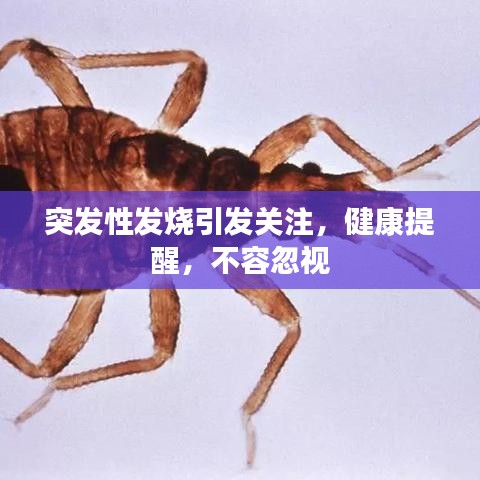 突發(fā)性發(fā)燒引發(fā)關(guān)注，健康提醒，不容忽視