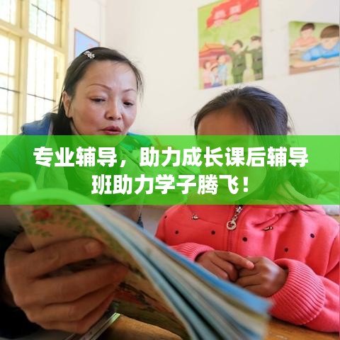 專業(yè)輔導(dǎo)，助力成長課后輔導(dǎo)班助力學(xué)子騰飛！
