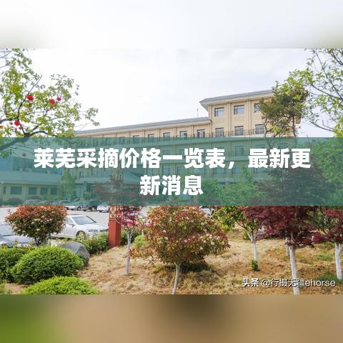 萊蕪采摘價格一覽表，最新更新消息